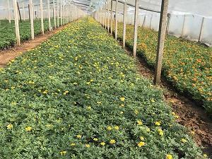 努力终有回报的美句 努力不会被辜负的名句(精选31句)