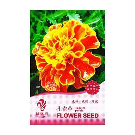 下里巴人是什么意思_下里巴人造句_下里巴人的反义词_下里巴人