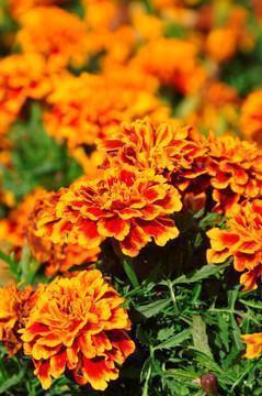 让我受益匪浅的一句话