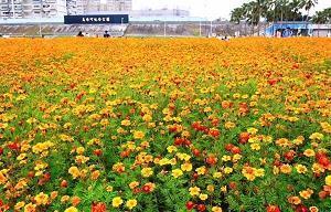 小清新简短正能量句子