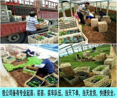 谢谢让我遇见你句子 感谢生命中遇见你说说短句