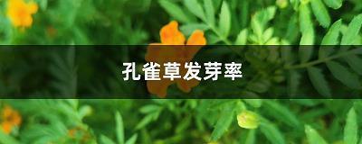 2022年除夕朋友圈说说简短(精选38句)