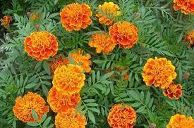 让前男友看了心痛霸气的句子