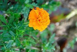 自信的说说发朋友圈 发朋友圈自信的好句子合集50句