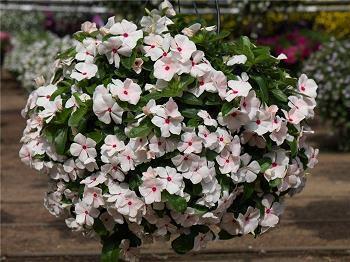 让那些人后悔的句子