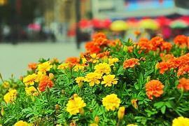 一晃孩子长大了的句子父母却没陪伴着精选62句