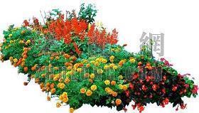 表达朋友情感变淡的句子13句