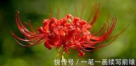 意境唯美的句子89句