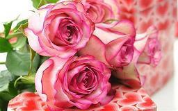 关于缘分的句子