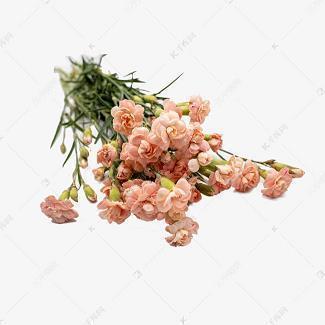 一句最简单的生日祝福 生日快乐祝福语