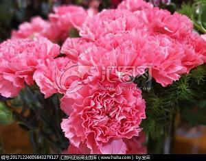 适合发朋友圈早安的句子 每日早安晨语短句收集29句