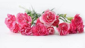 适合冬天发的晚安文案(精选44句)