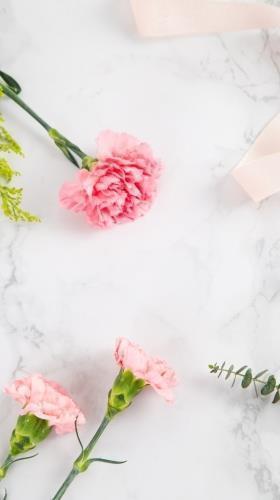 小众却惊艳的文案 慢时光静生活唯美句子(精选70句)