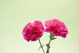 非常现实的句子 句句扎心