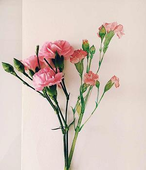 七夕情人节经典表白语录(精选85句)