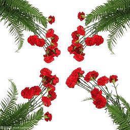 赞美候鸟的简短句子 与候鸟有关的唯美句子39句