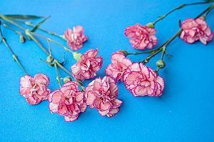 分开心里难受的句子