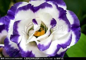 2021清明节发朋友圈的祝福语文案
