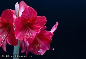 11月祝福语文案大气(精选73句)
