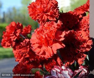 珠宝销售定制服务广告语:东方品藏金韵