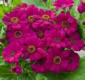 2021高考祝福语和鼓励的话合集40句