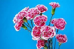 调整心态控制情绪句子