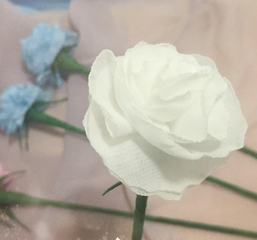 越努力越幸运励志语录 越努力越幸运的句子59句