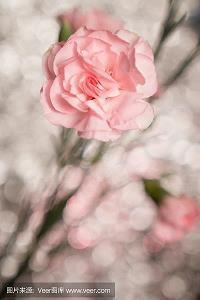 对生活失望了希望的句子
