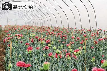 较为伤感的句子