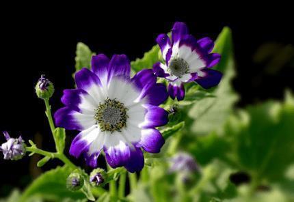 表示生活无奈的句子69句