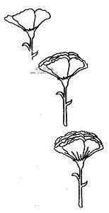 女生文艺唯美句子