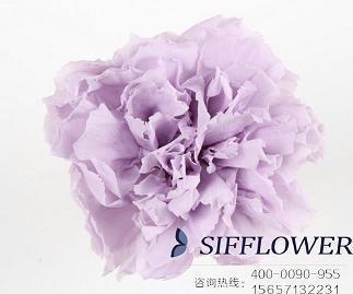 吸引人的家具家居广告语大全
