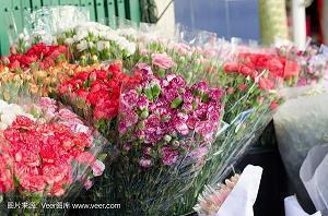 形容校园优美的句子 描写校园的优美短句