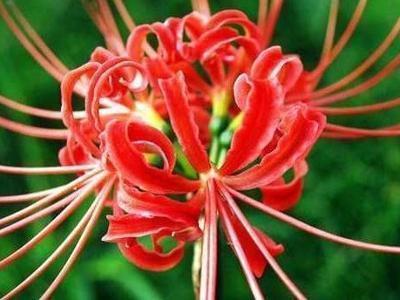 表达对家人失望的句子说说心情短语