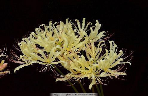 抖音2021唯美句子推荐60句