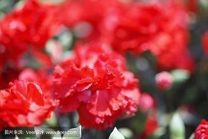 形容让好朋友开心的句子