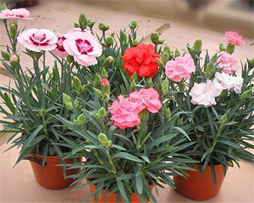 关于爱情甜蜜的短句子大全