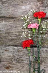 唯美温柔的文案 特别温柔治愈的文案夏天