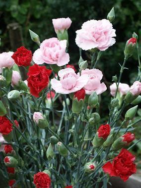 回忆的句子说说心情短语 回忆回不去，回想你给的致命曾经