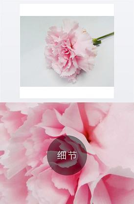 高情商夸女孩子的话大全_推荐的情商,女孩子一句话语录29句