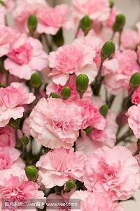 表示对女人失望的句子