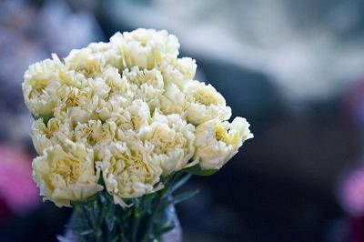 迎接中秋节祝福语文案大全(精选85句)