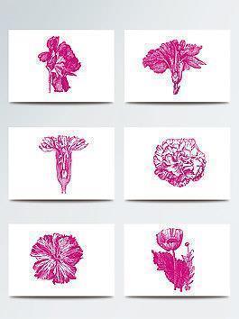 2021年妇女节必点赞的朋友圈说说88句