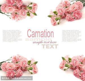 写同学情谊的唯美句子 形容同学情谊的句子63句