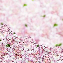 霸气高冷的短句 抖音很火的短句