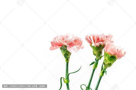 形容自己开心的搞笑句子