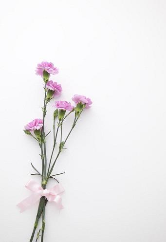 七夕节单身霸气说说文案简短(精选77句)