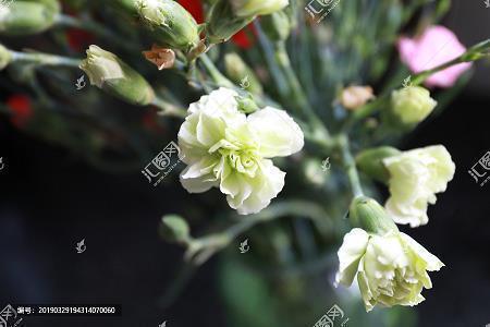 关于立冬的好词好句好段(精选49句)