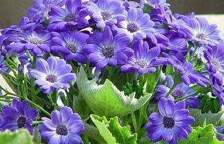 第一次坐飞机的感想说说 适合第一次坐飞机发的朋友圈文案