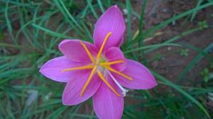 宝贝玩开心的句子 小宝贝开心快乐的句子